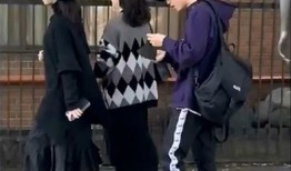 圈内爆料肖战宋妍菲,娱乐圈新恋情引热议