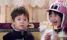 x 娱乐吃瓜君,揭秘娱乐圈最新热点事件