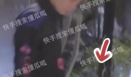 狗仔爆料现实版许沁视频,揭秘现实版许沁的震撼视频曝光